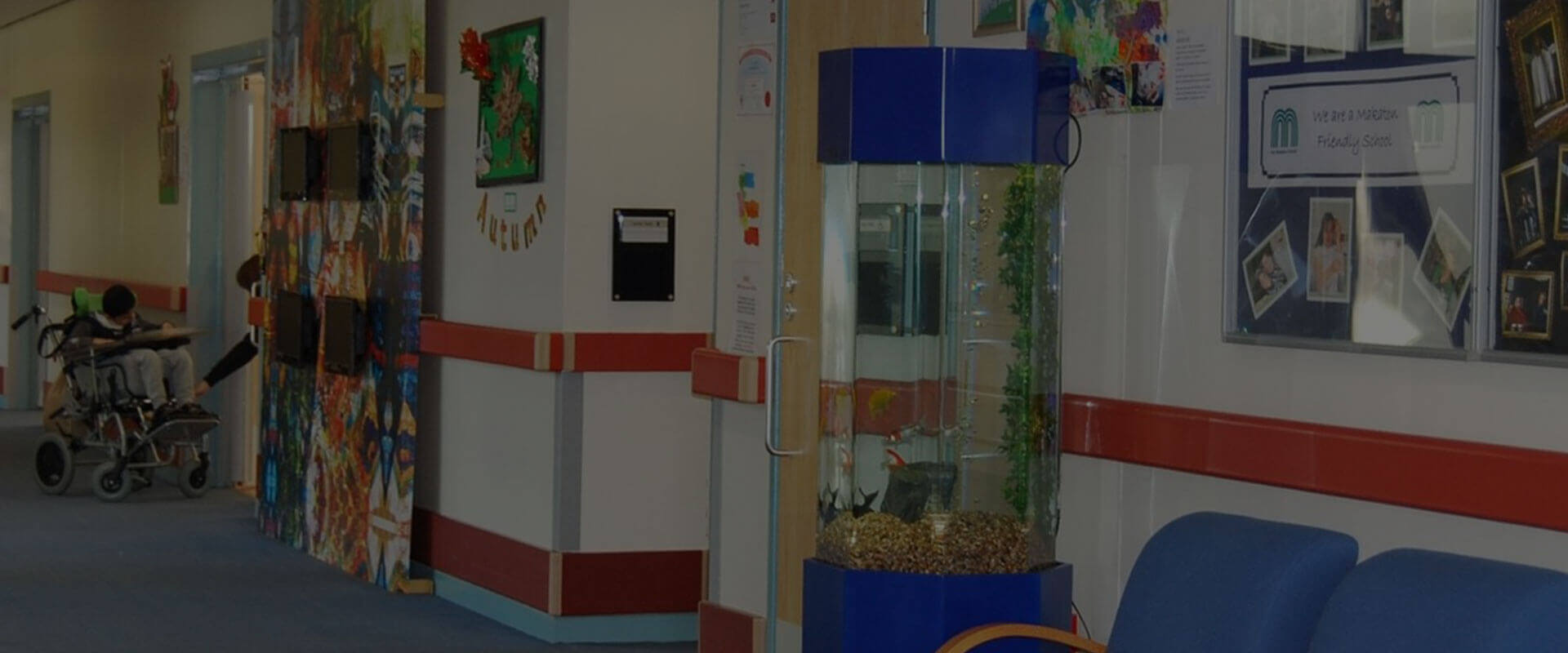Aqua Rentals | Aquarium Displays