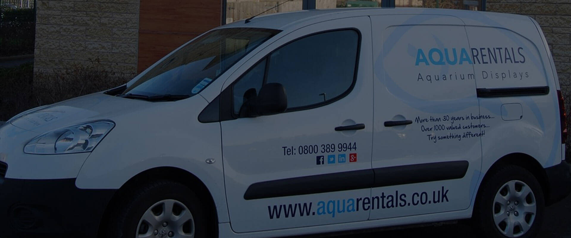 Aqua Rentals | Aquarium Displays